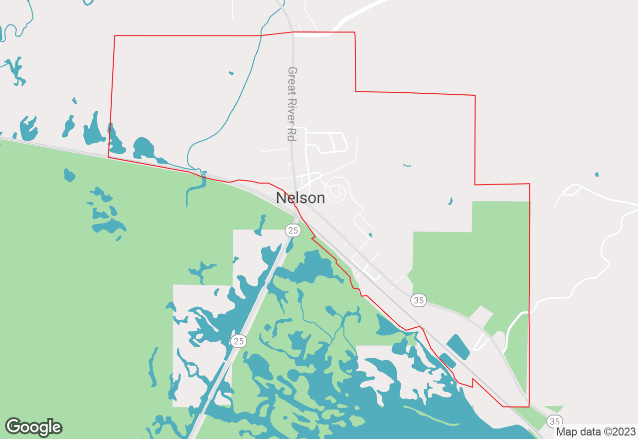 Nelson map