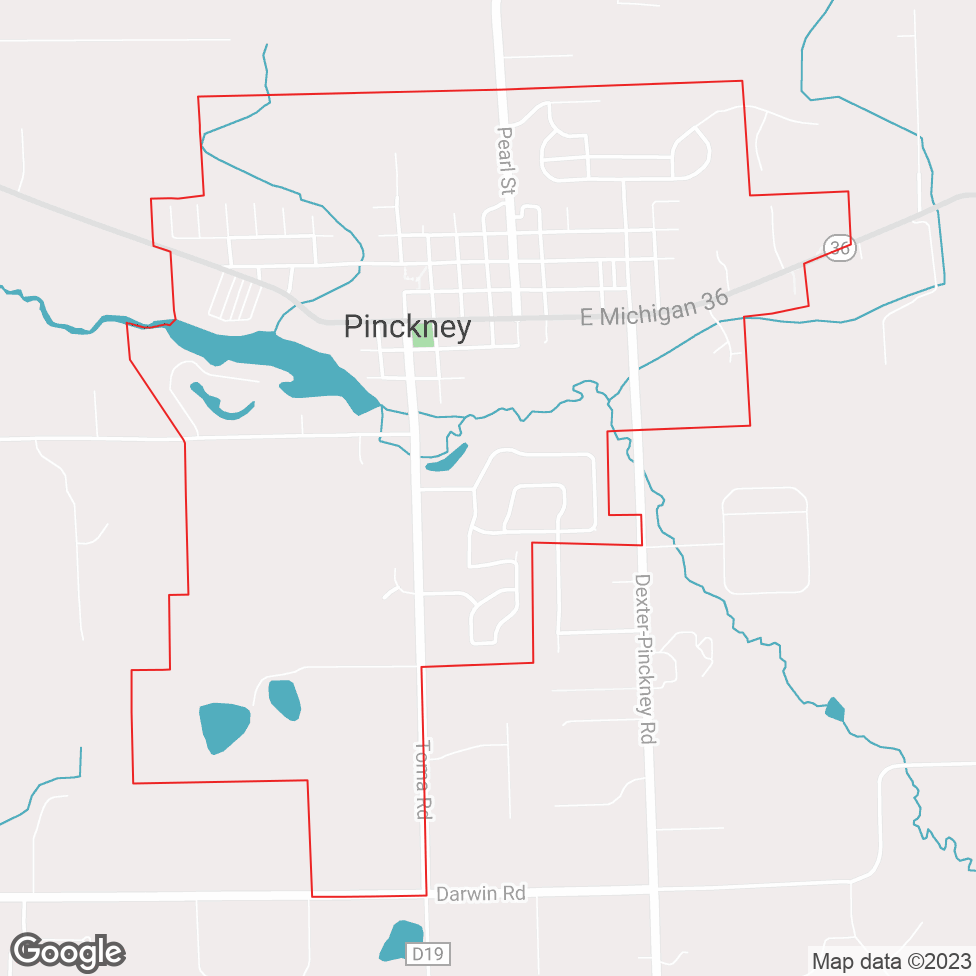 Pinckney map