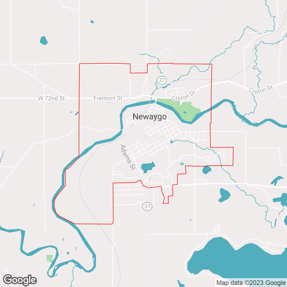 Newaygo map