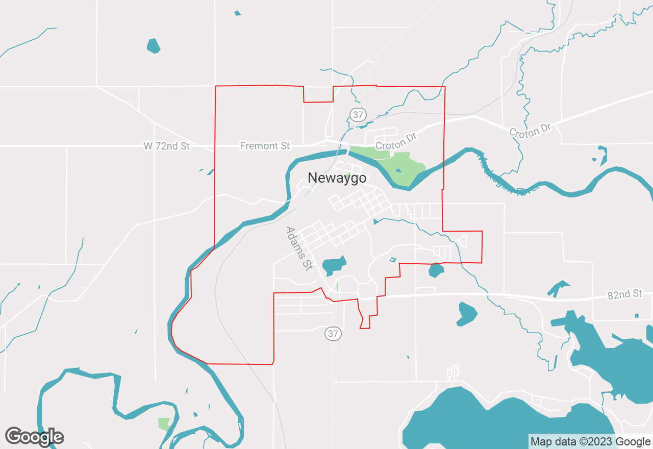 Newaygo map