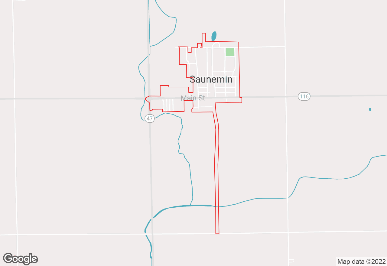 Saunemin map