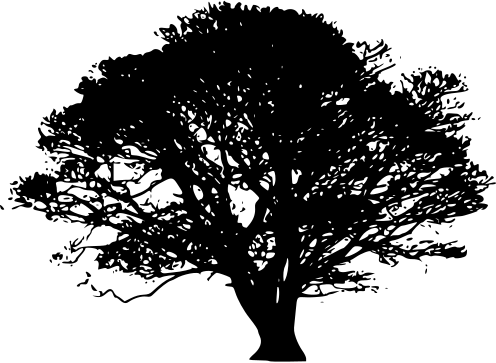 Winnie Winterson logo